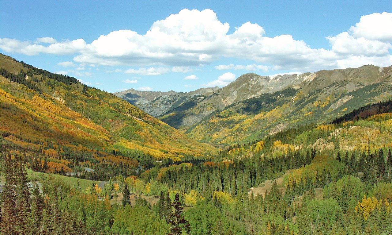 Golden autumn aspens and green evergreen forests filling a valley along the San Juan Skyway